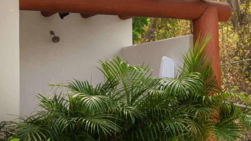 The At Solana Boutique Bed & Breakfast Zihuatanejo