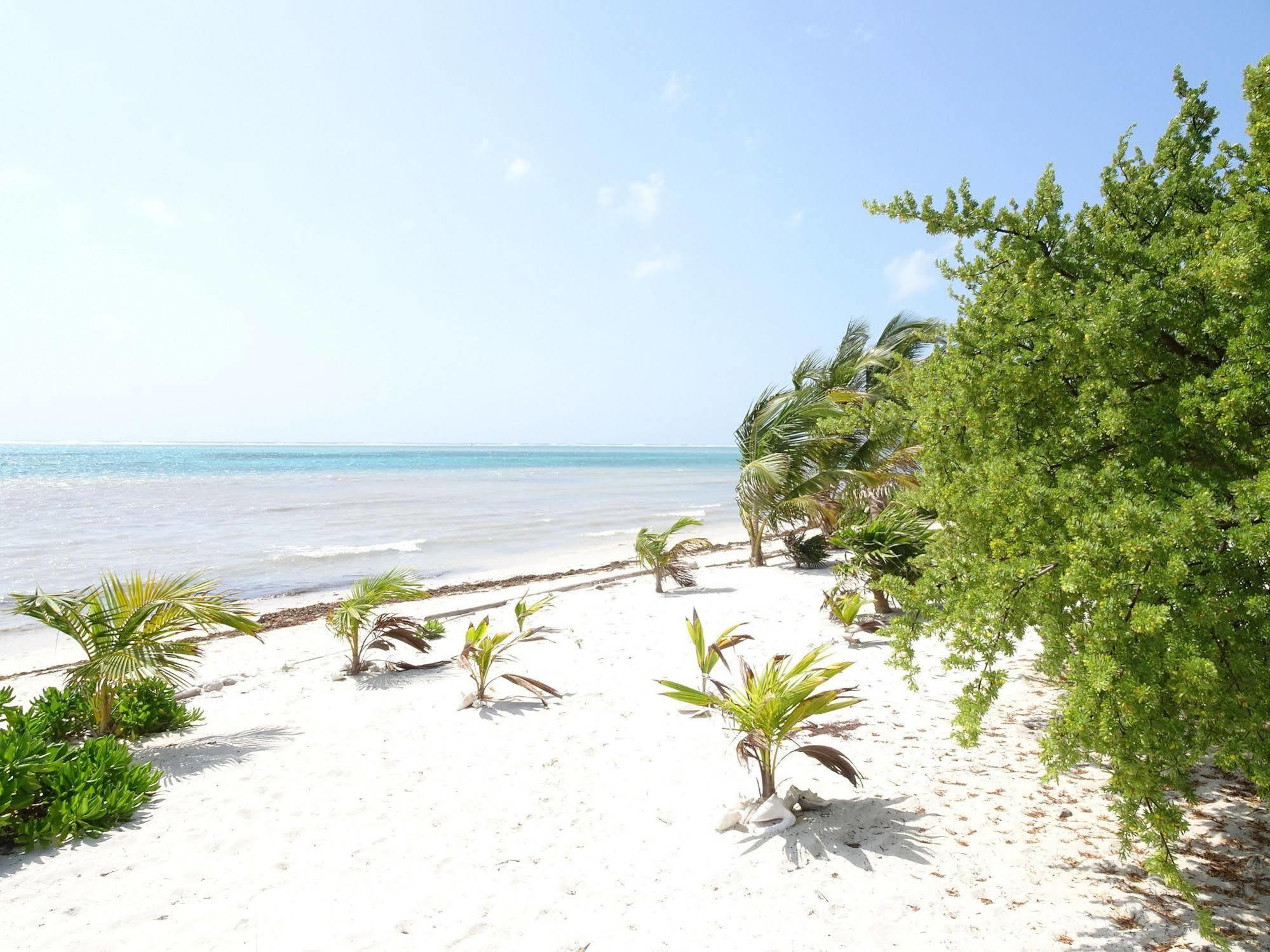 La Salamandra Villa *