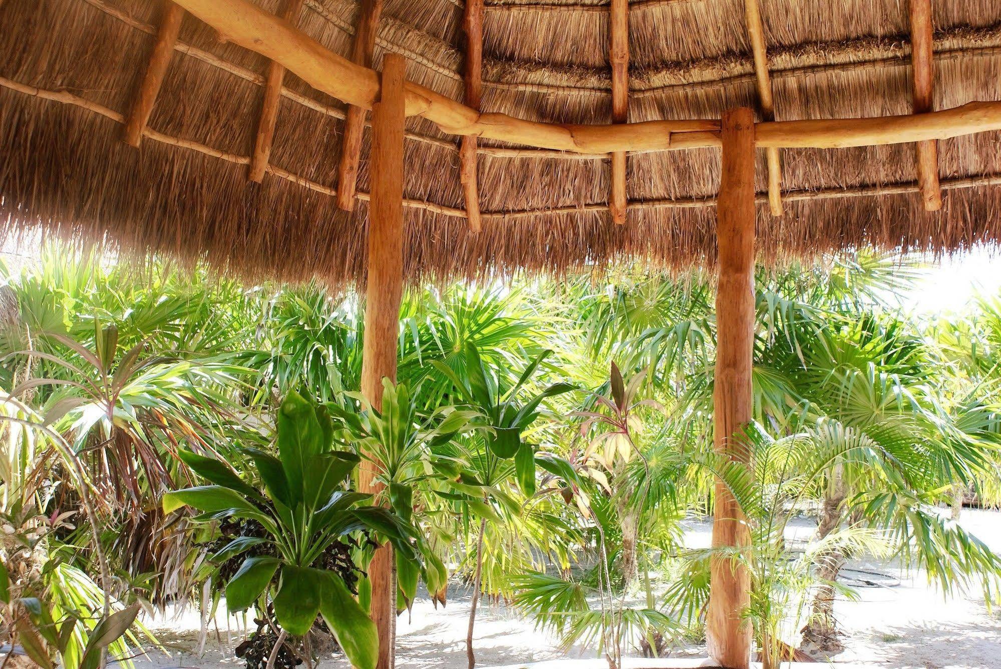 Hotel Deluxe Isla Holbox