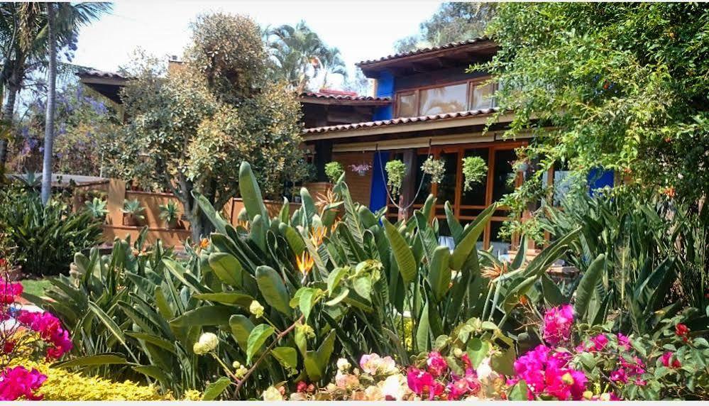 Orchidelirium Casa Hotel & Salud Estetica