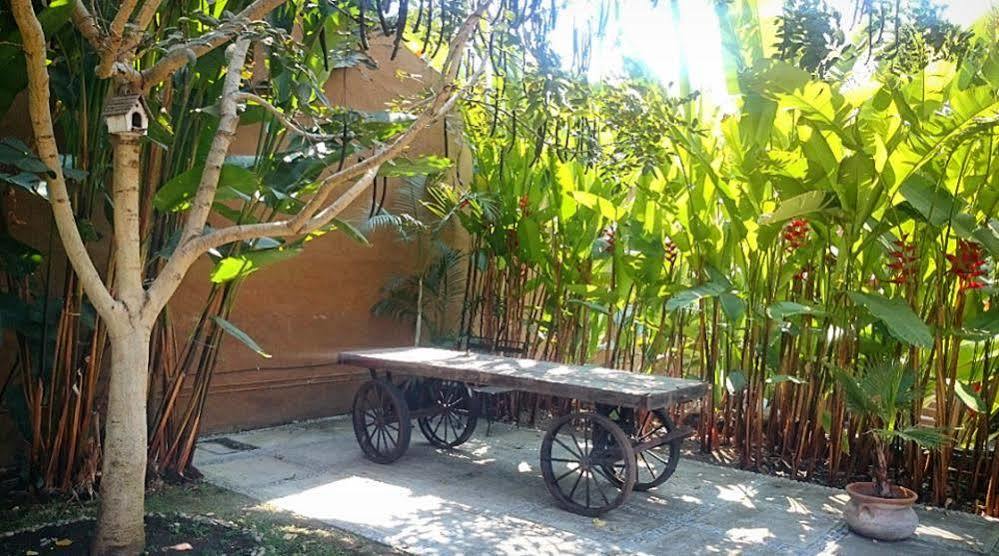 Orchidelirium Casa Hotel & Salud Estetica Hotel Cuernavaca