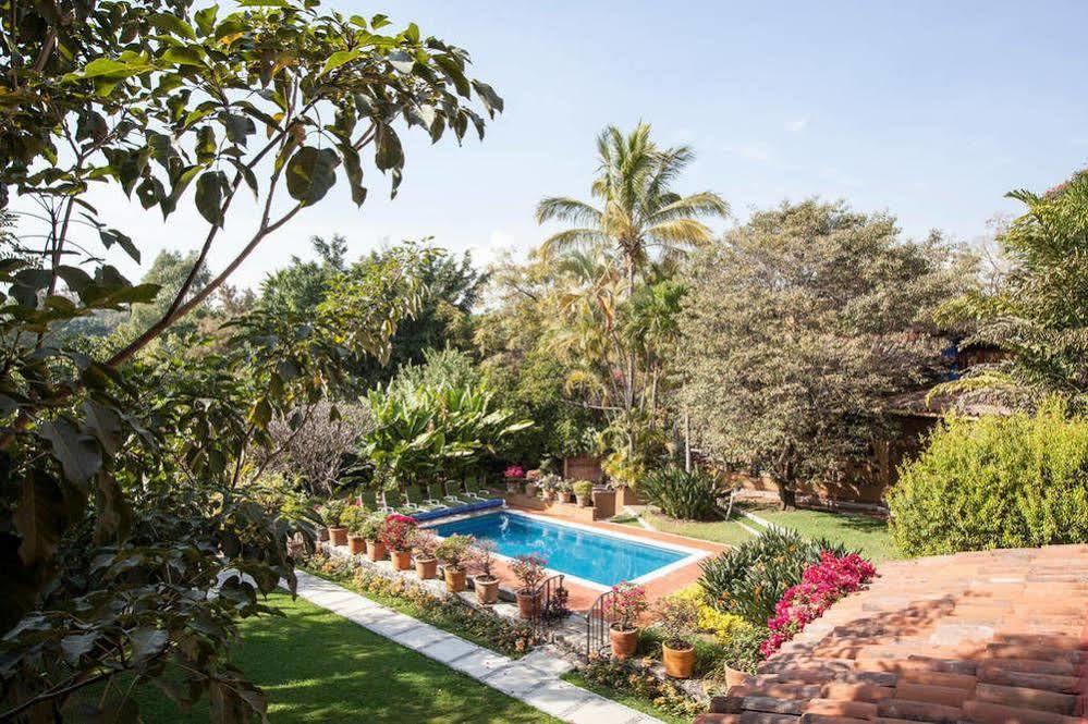 Orchidelirium Casa Hotel & Salud Estetica