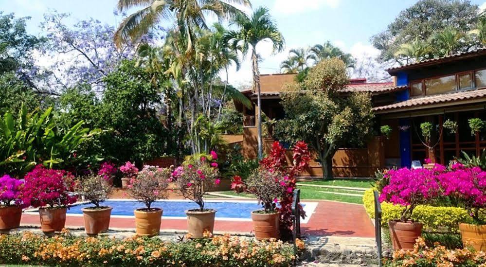 Orchidelirium Casa Hotel & Salud Estetica 4*