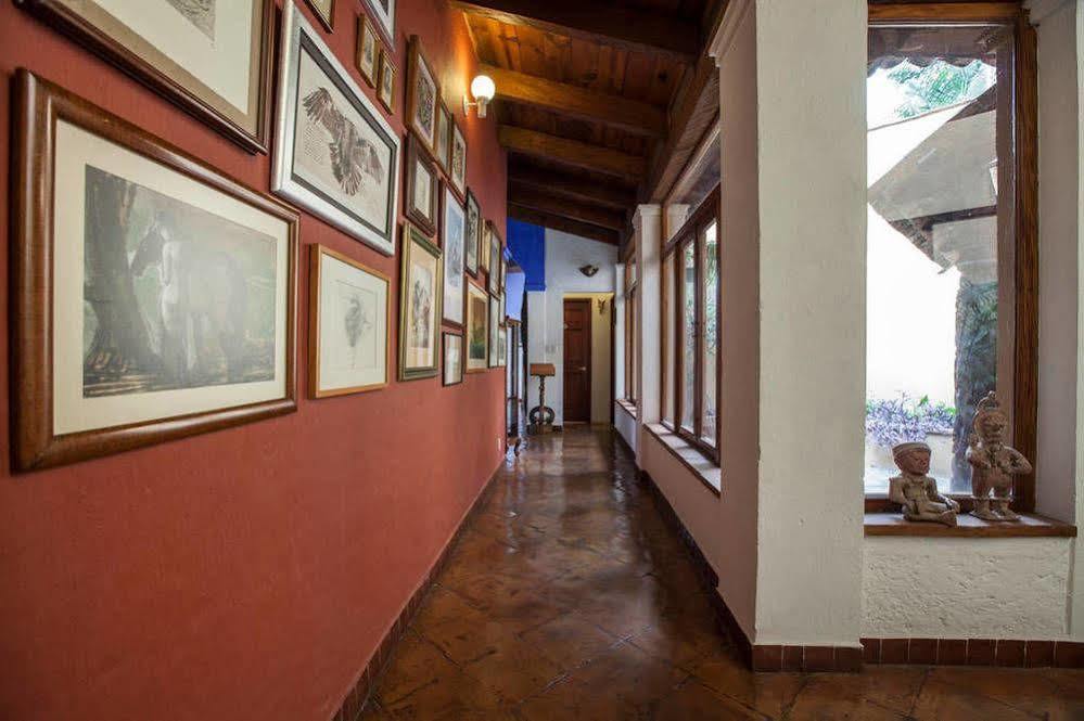 Orchidelirium Casa Hotel & Salud Estetica Hotel