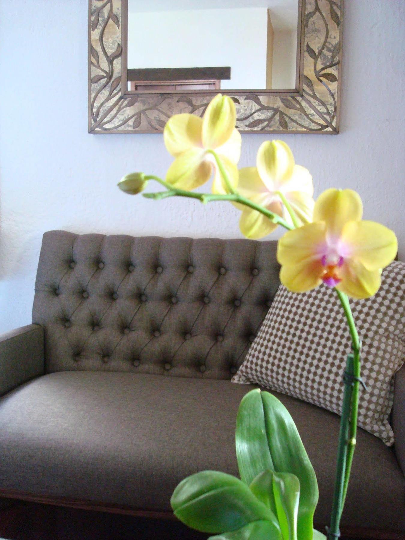 Hotel Casa Embrujo - Boutique