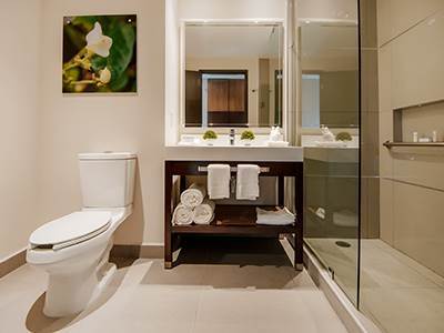 Hilton Garden Angelopolis Hotel 4*