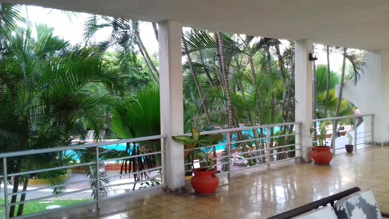 Delfin Playa Azul Lazaro Cardenas (Michoacan)