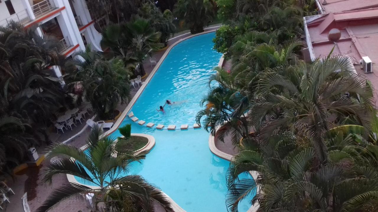 Delfin Playa Azul