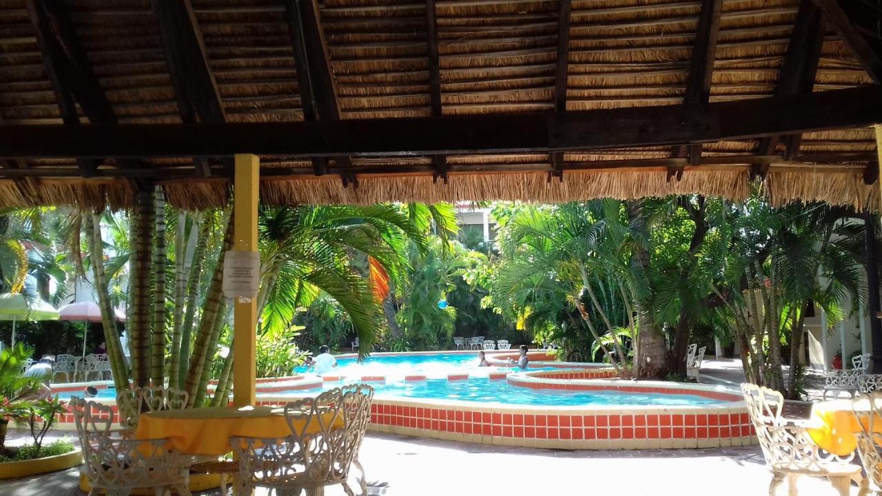 Delfin Playa Azul Lazaro Cardenas (Michoacan)