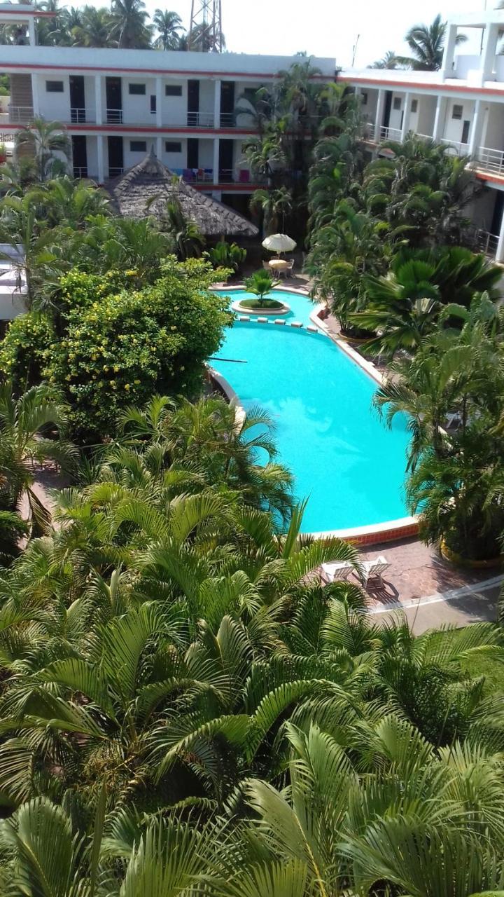 Delfin Playa Azul