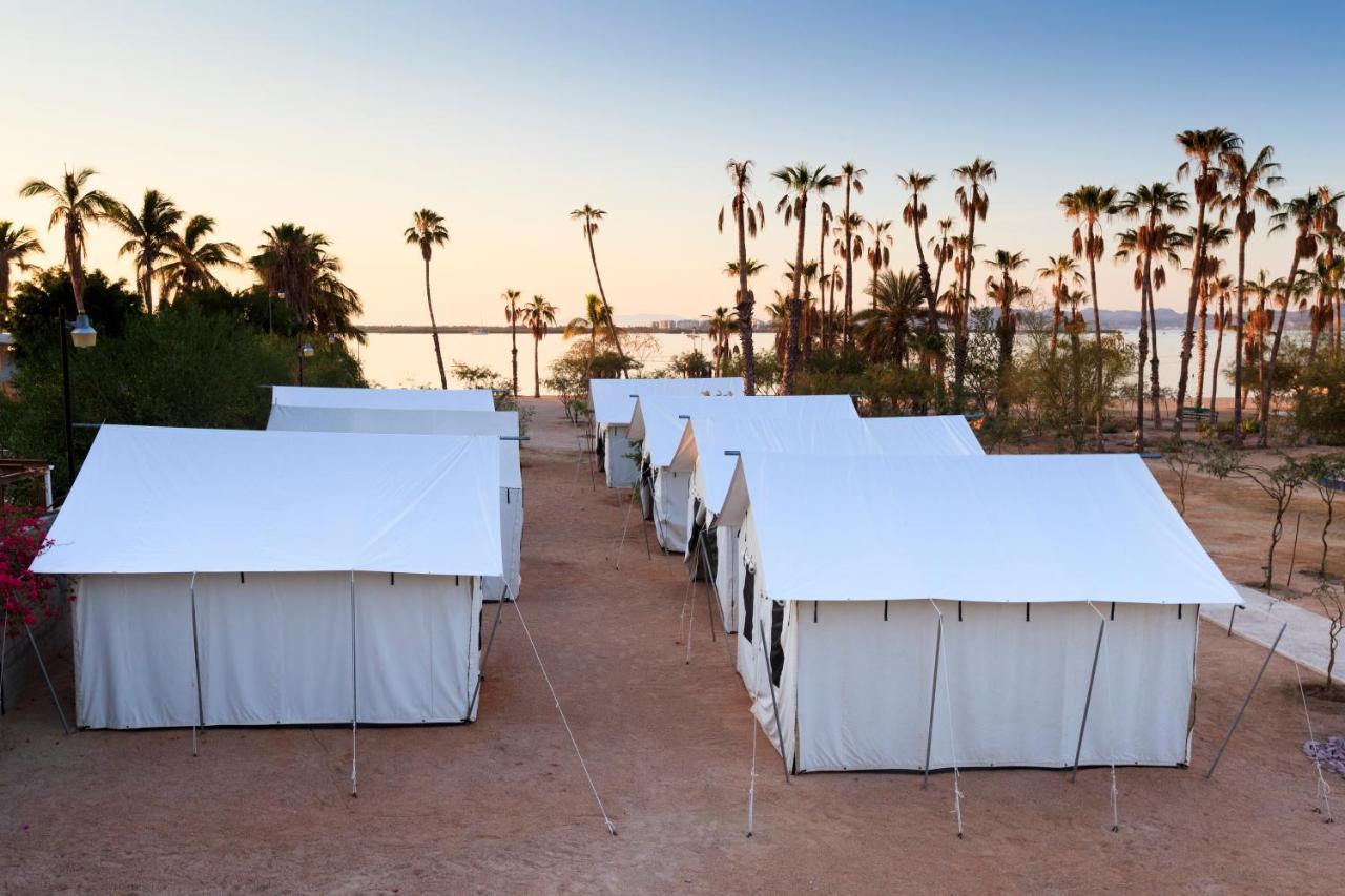 Marea Glamping Luxury tent *