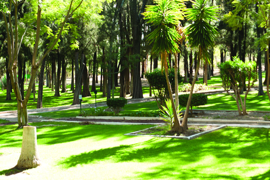 Hotel Mision