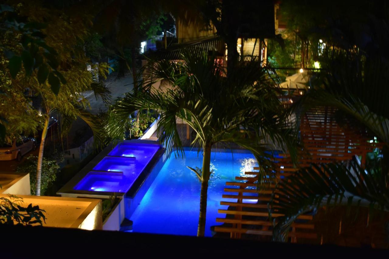 Maya Tulipanes 4*