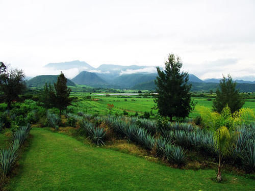 Cantabria Guest house 3*