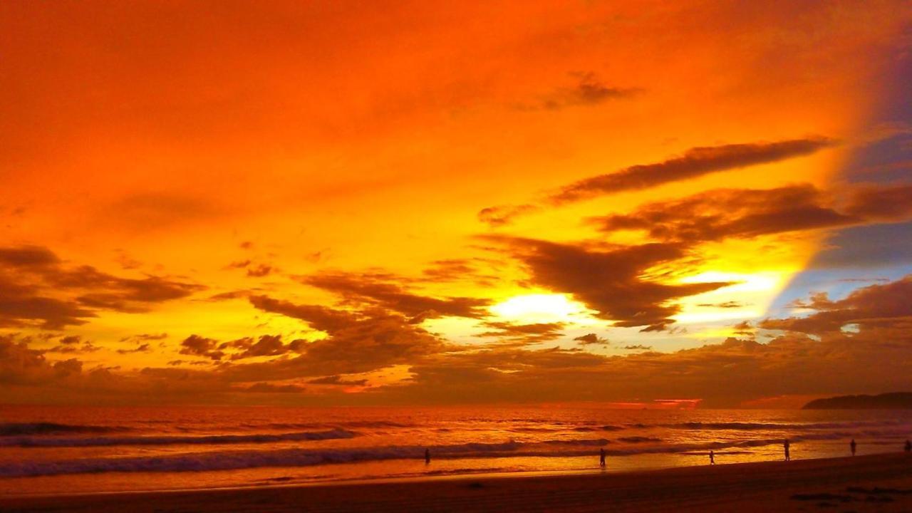 Villa Tree Tops - Adults Only Zihuatanejo