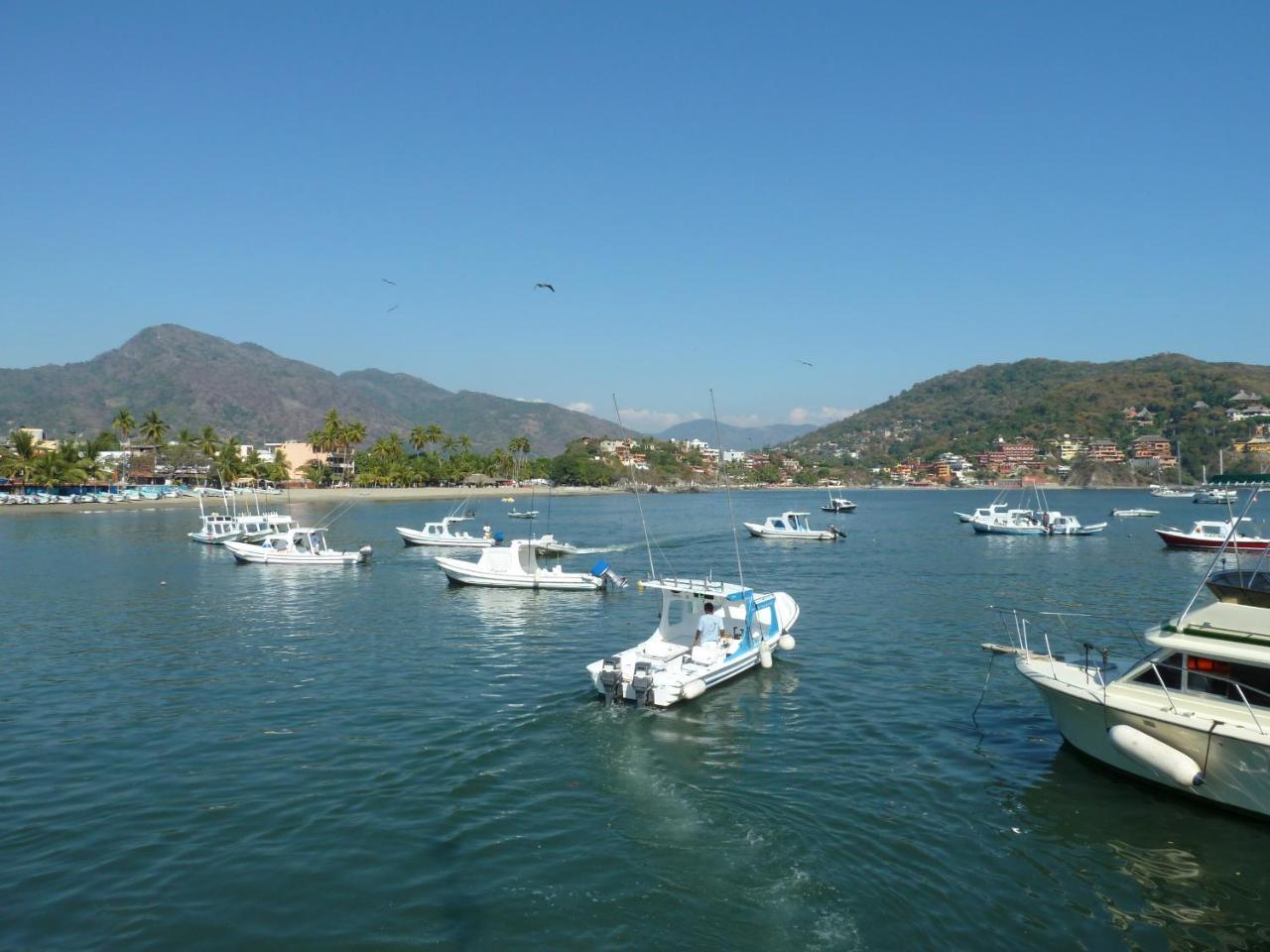 Tree Tops - Adults Only Zihuatanejo