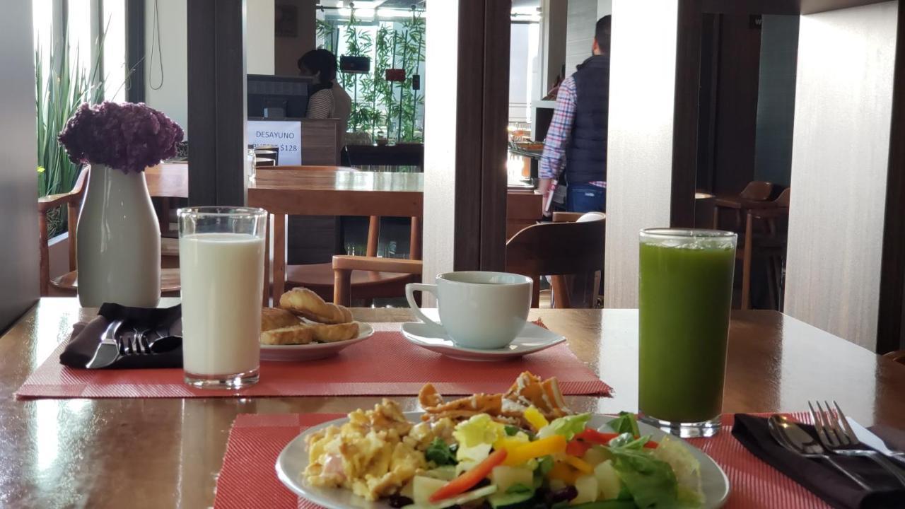 Terrass Zamora Hotel
