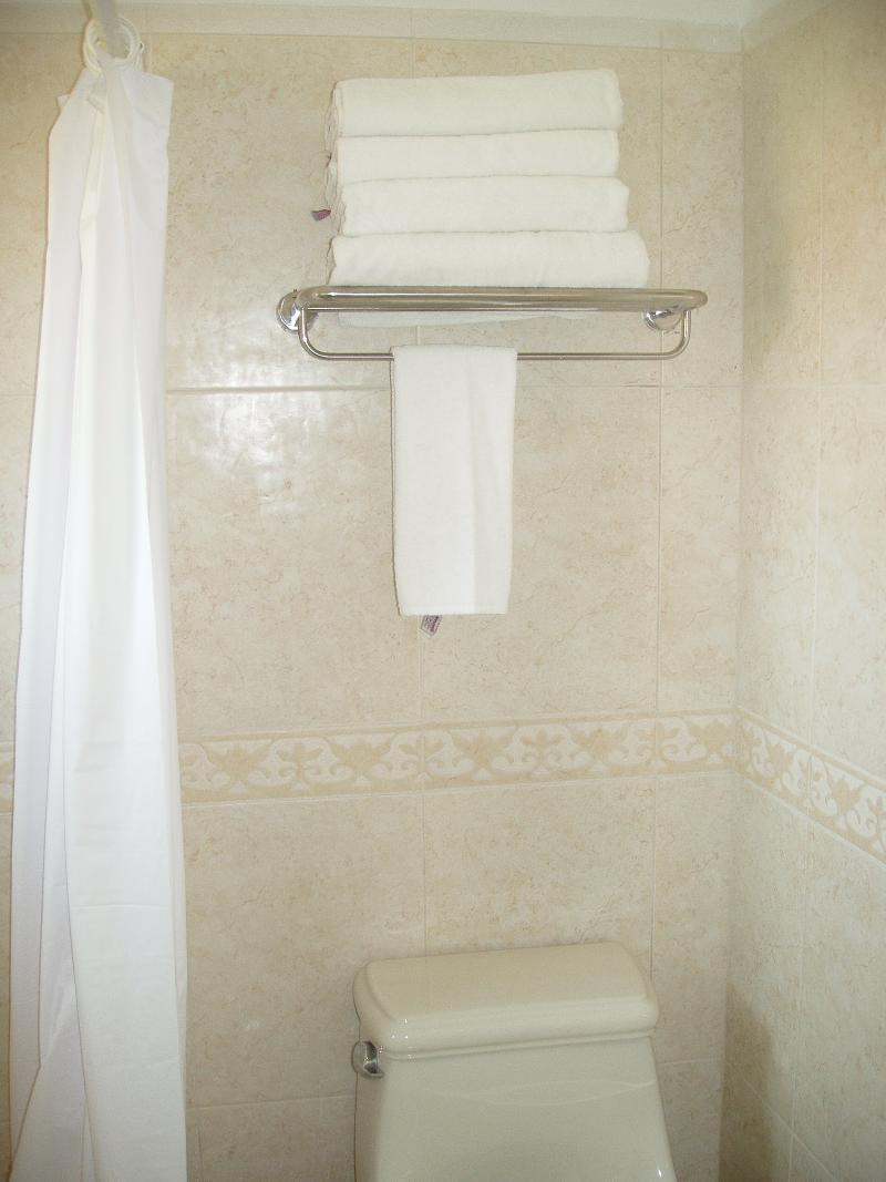 Del Palmar With Club 4* Manzanillo