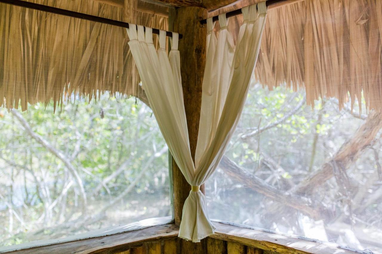 Ida Y Vuelta * Isla Holbox