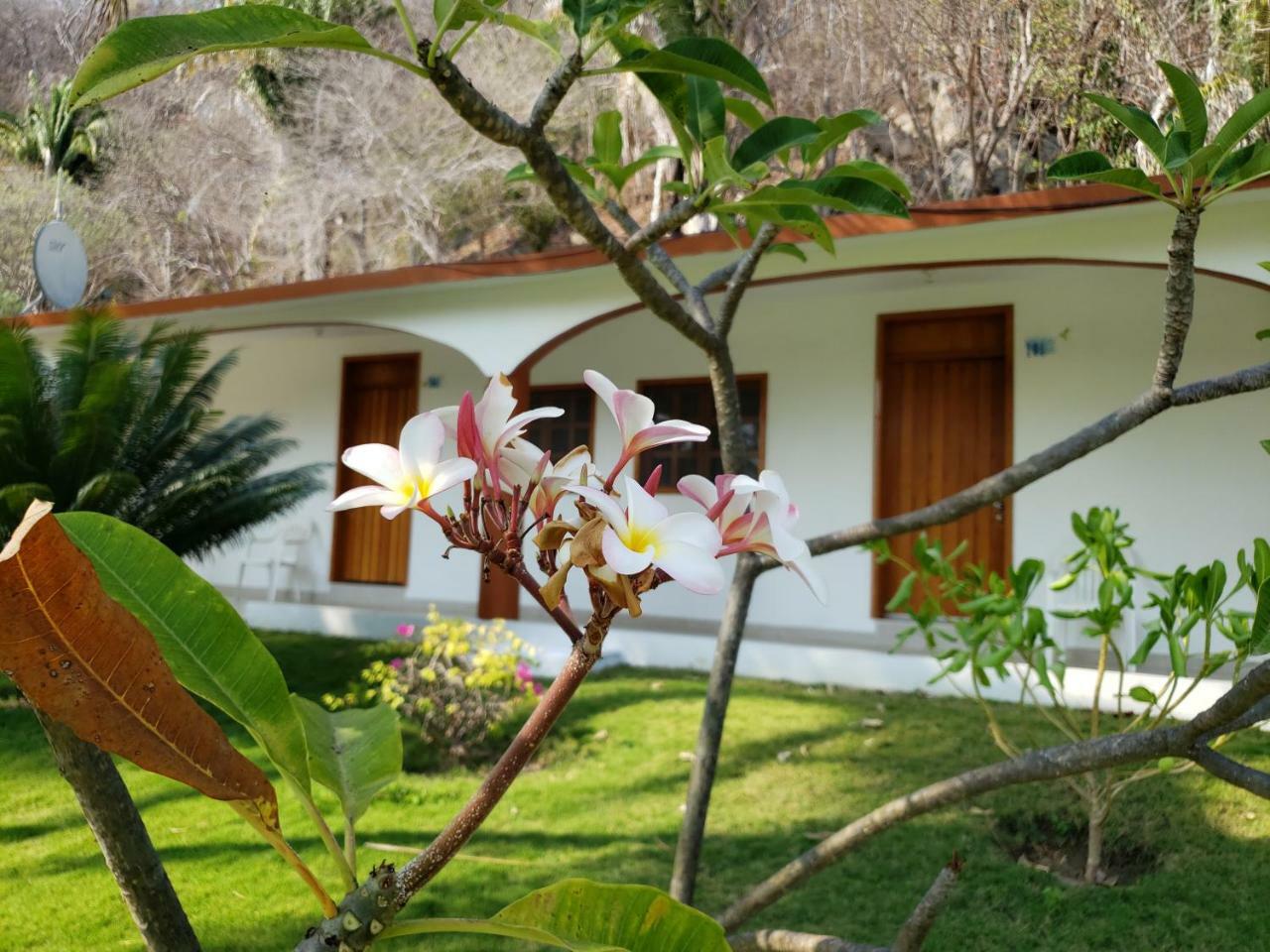 Hotel Y Club Campestre Altos Paraiso 4*