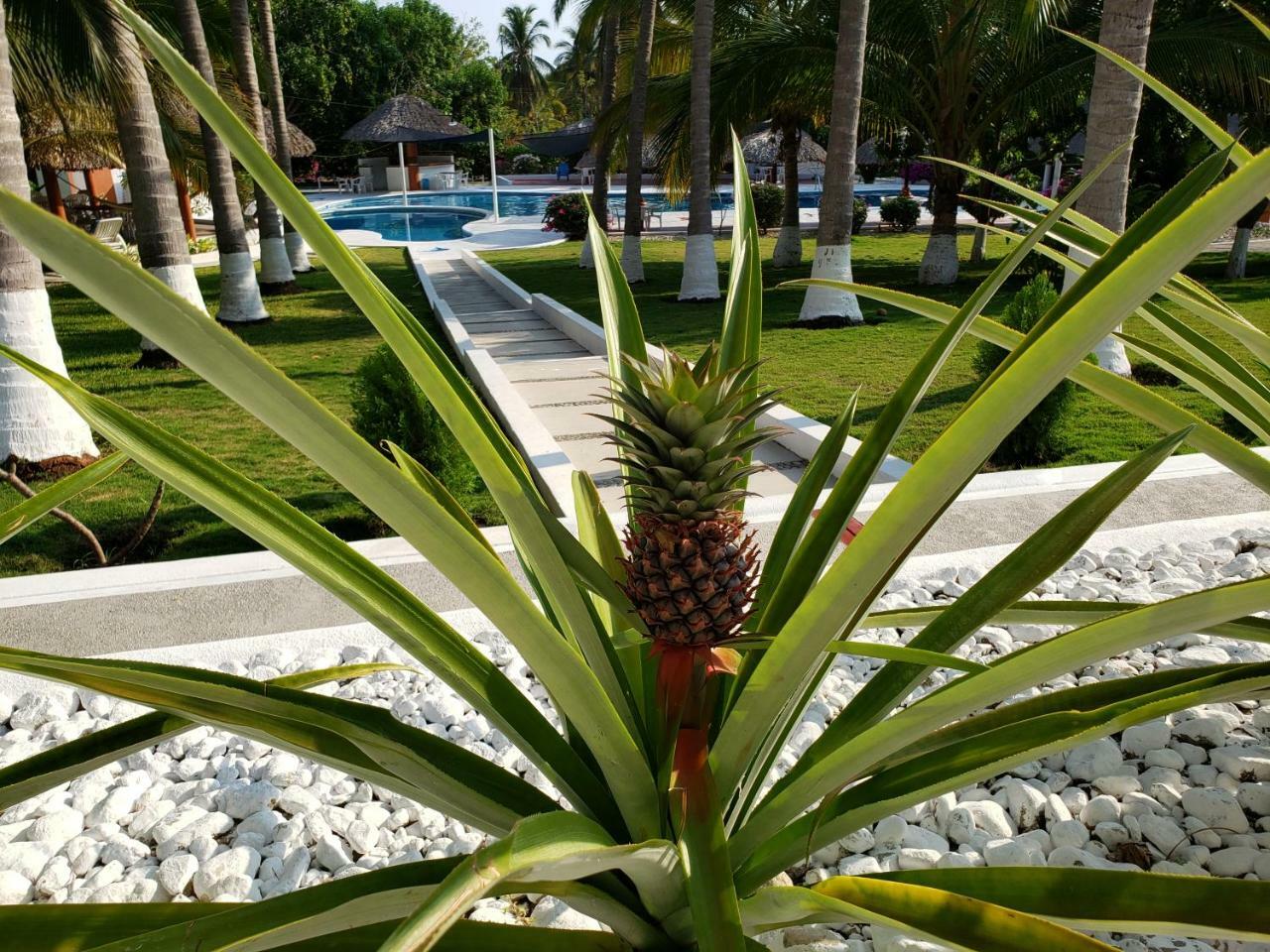 Hotel Y Club Campestre Altos Paraiso 4*