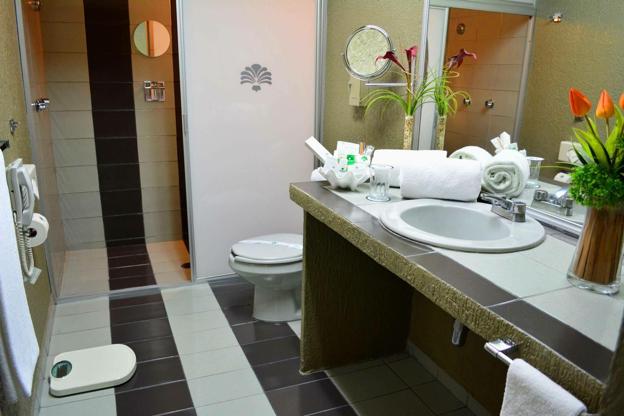 Hotel Layfer Del Centro, Cordoba,