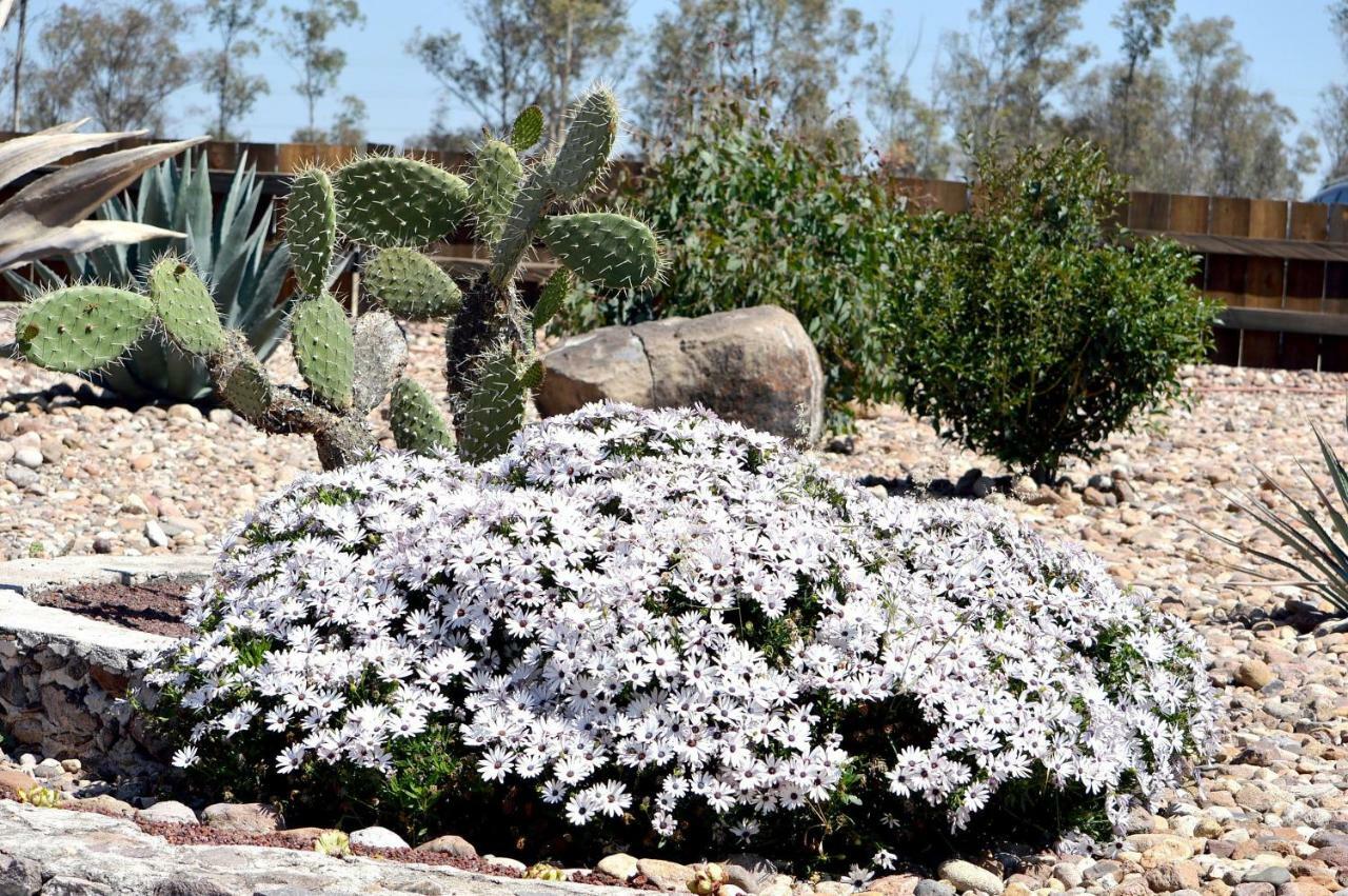 Hacienda Picachos Hotel