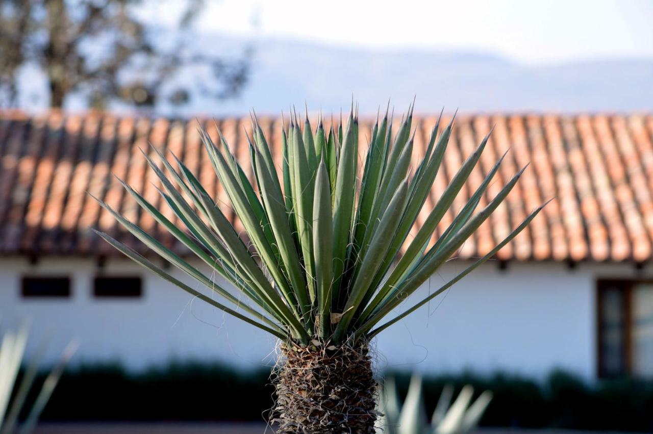 Hacienda Picachos Hotel