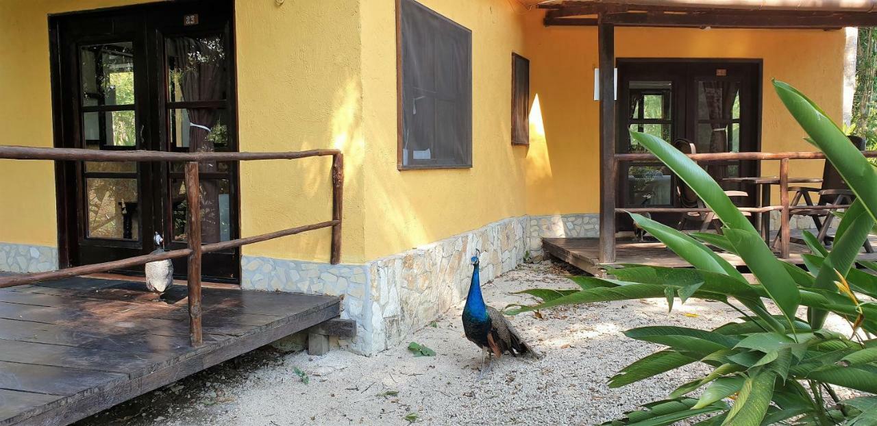 Kin Balam Holiday park Palenque