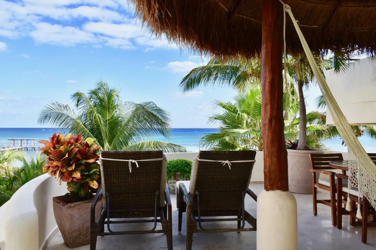 Playa Palms