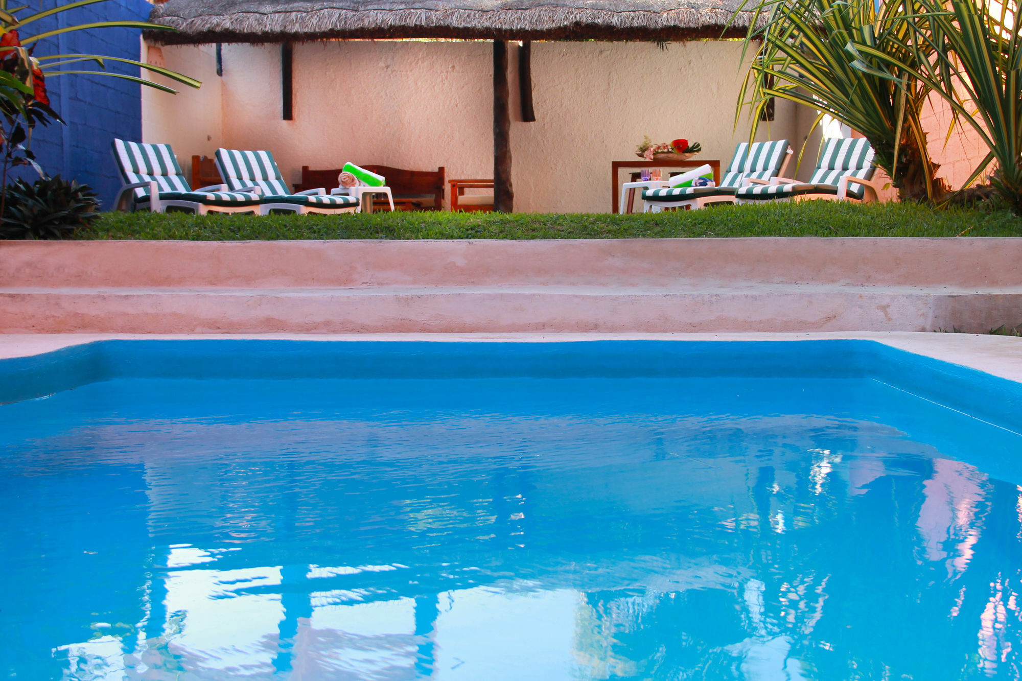 Vida Playa Suites