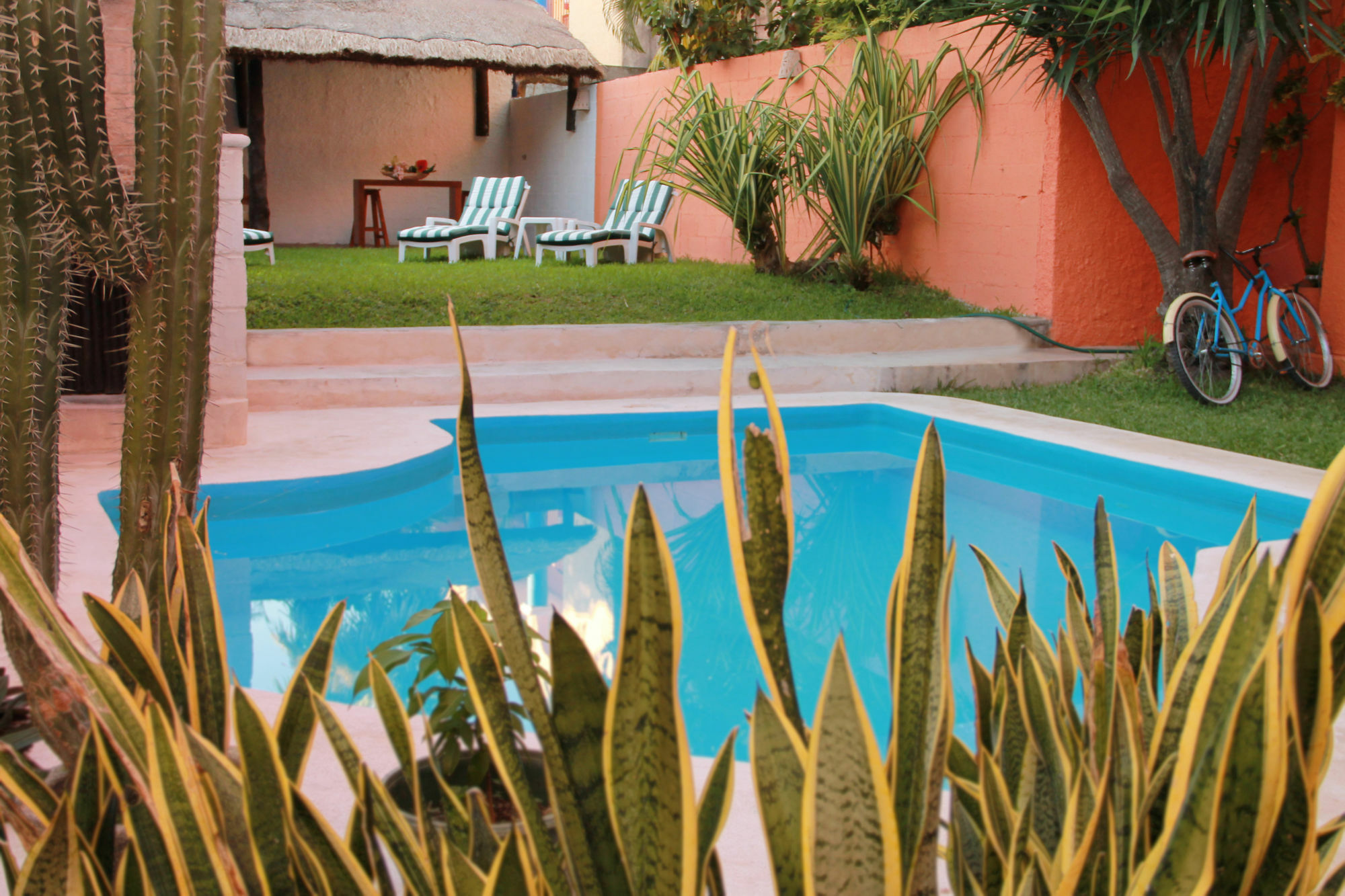 Aparthotel Vida Playa Suites