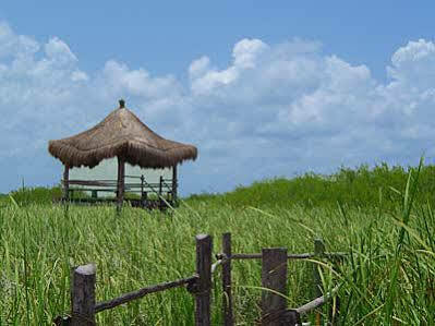 Desire Pearl Hotel Riviera Maya