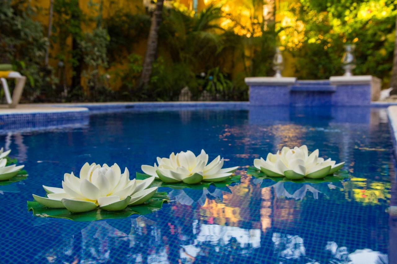 Hacienda Boutique And Solo Adultos Cozumel