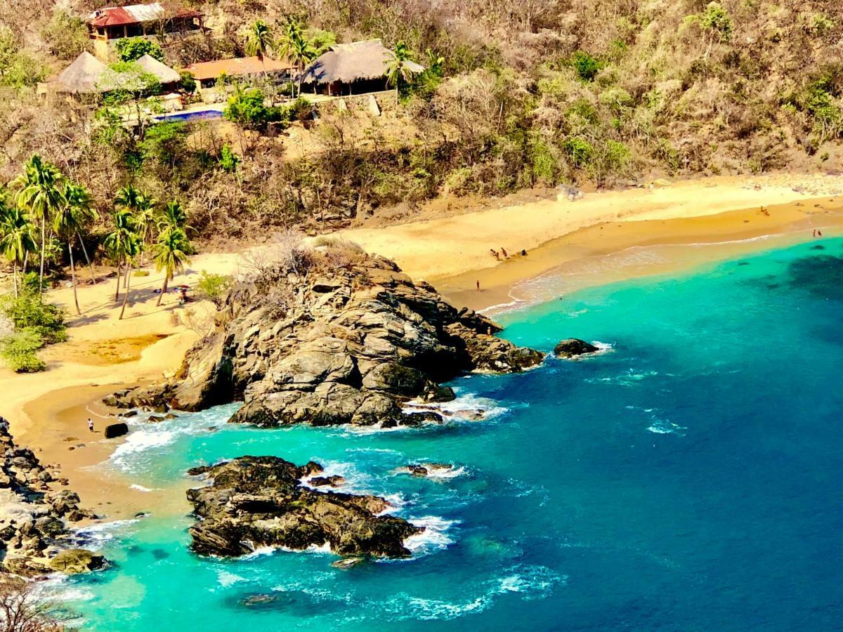 Exclusivo Bungalow Con Playa Semi-Privada, Alberca Vista Infinita Al Oceano Pacifico, Playa Zipolite-Mazunte, 8 Hermosas Playas Cercanas, Vive Experiencias Inolvidables En Este Paraiso En Las Costas De Oaxaca, Nomadas Digitales Starlink Wifi 203 Mbps Villa