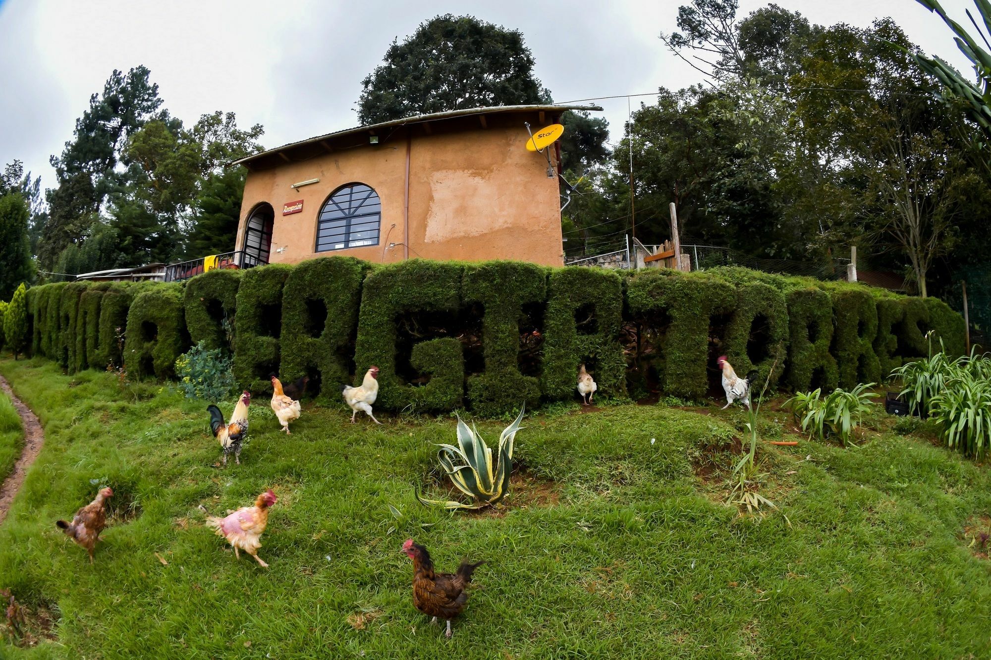 Y Sergia Torres Hotel San Cristobal de las Casas