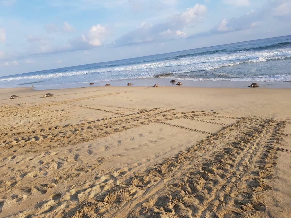 El Eden Hotel Mazunte