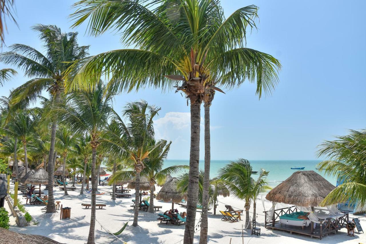 Amaite Holbox - Oceanfront Hotel Hotel