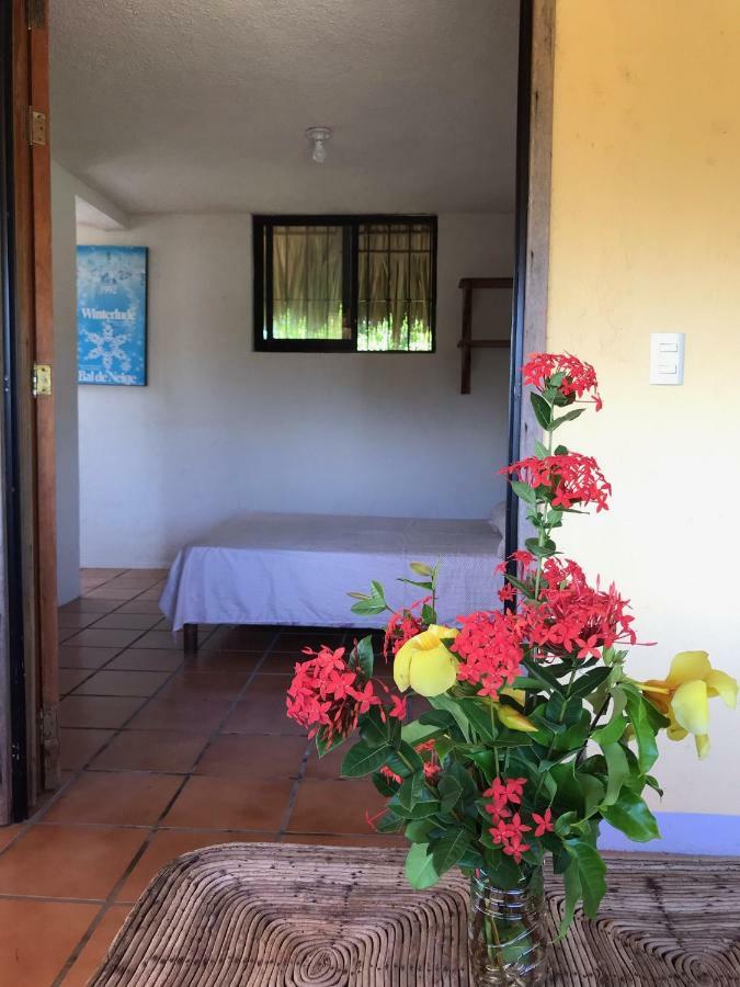 Apartment La Del Monsieur Puerto Escondido (Oaxaca)