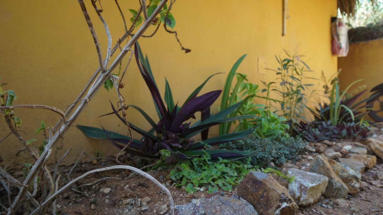 Casa Aditi Guest house *