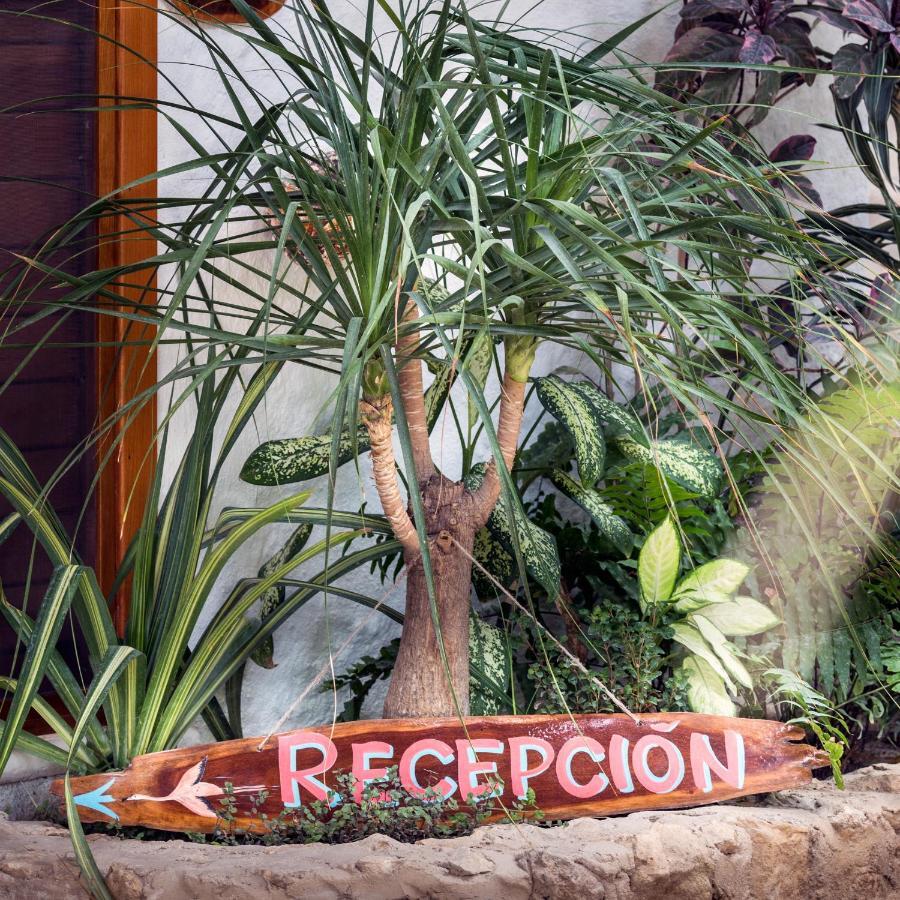 Mawimbi Boutique Hotel