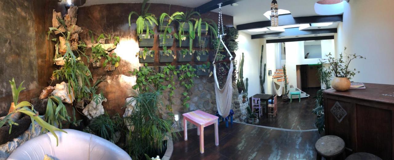 Hotel Magnolias Boutique & San Cristobal de las Casas
