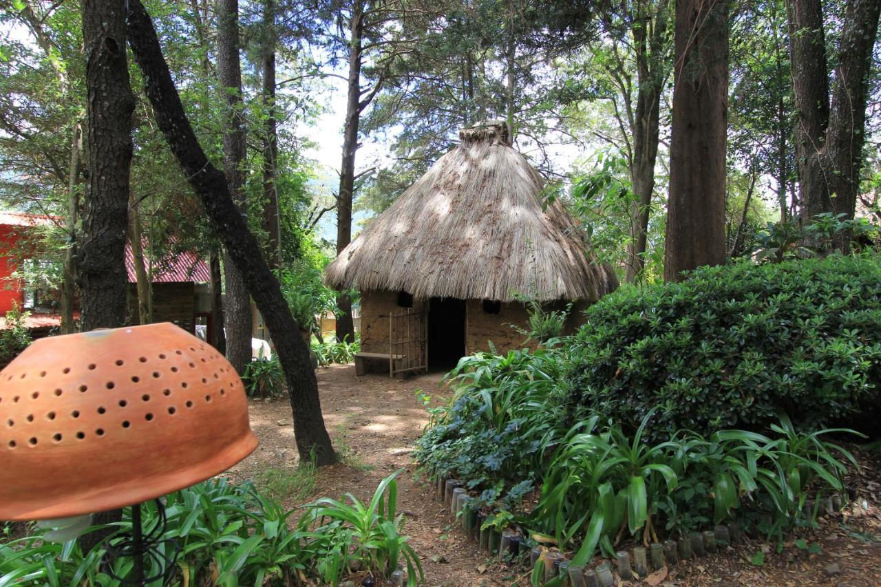 Na Bolom San Cristobal de las Casas