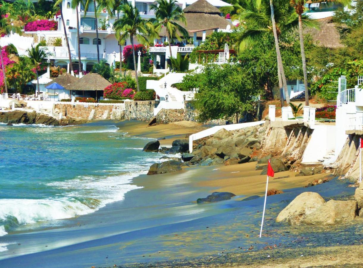 Dolphin Cove