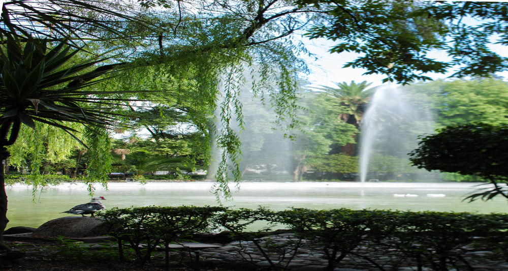 Parque 4* Mexico City