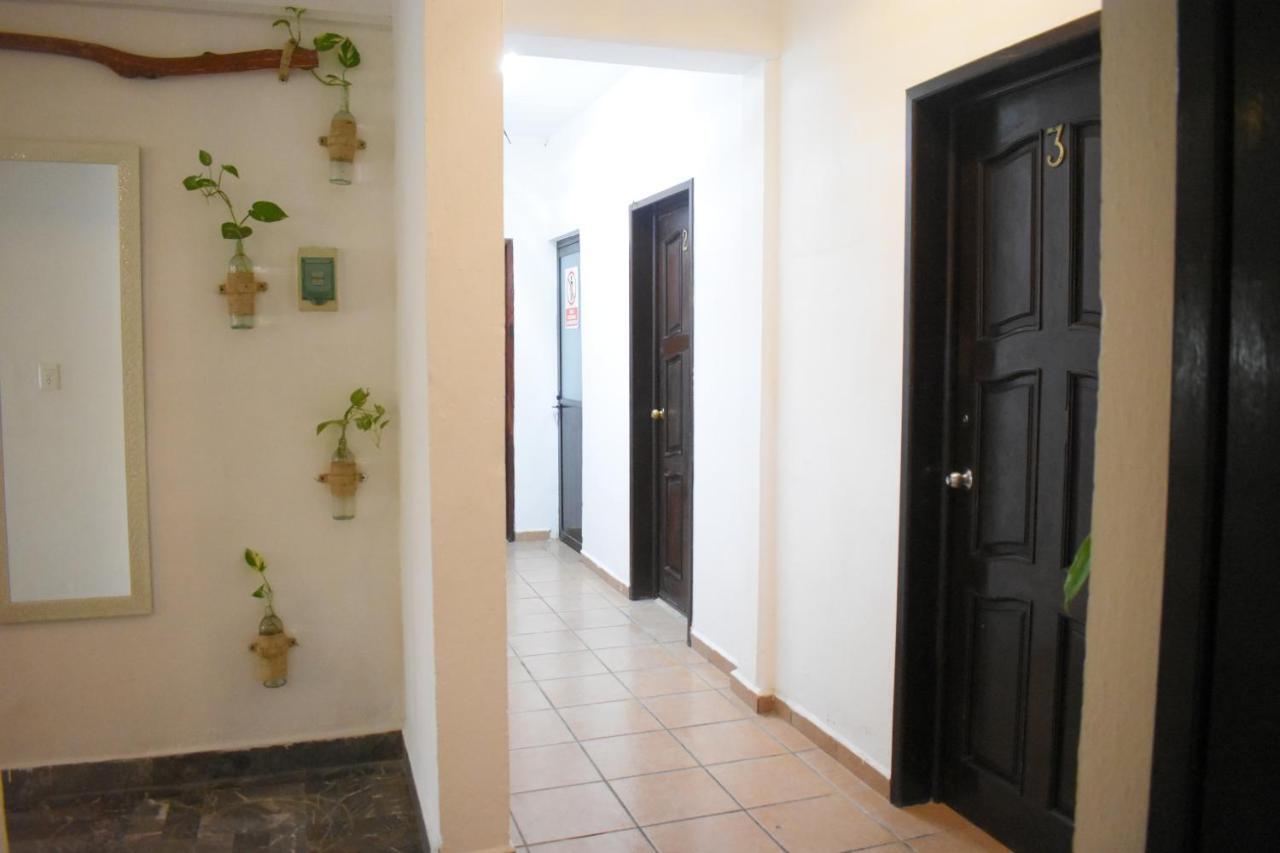 Caracol Suite Hotel Hotel