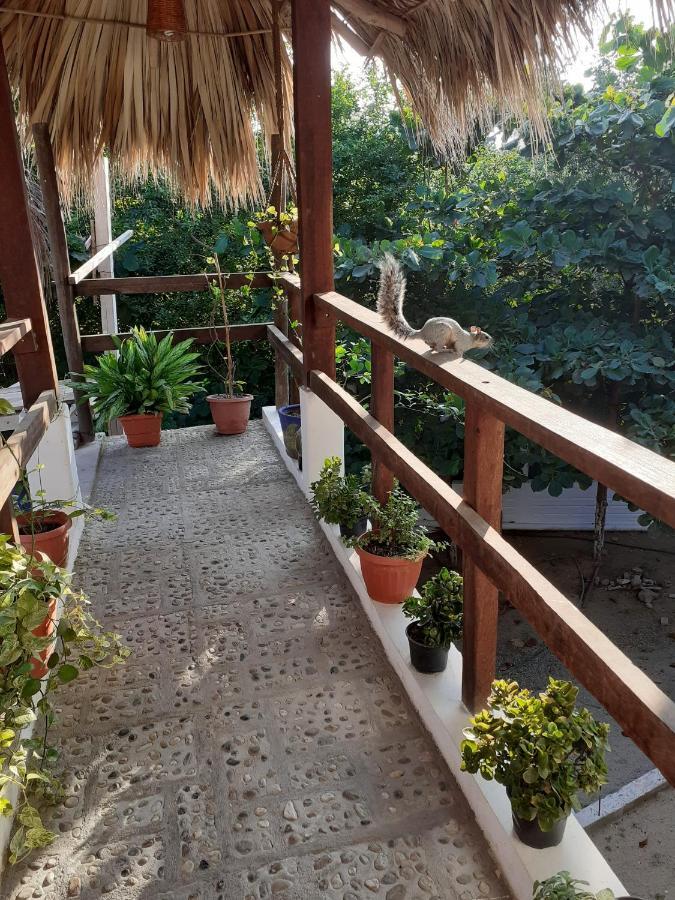 Hotel Casa Tierra Viva Mazunte