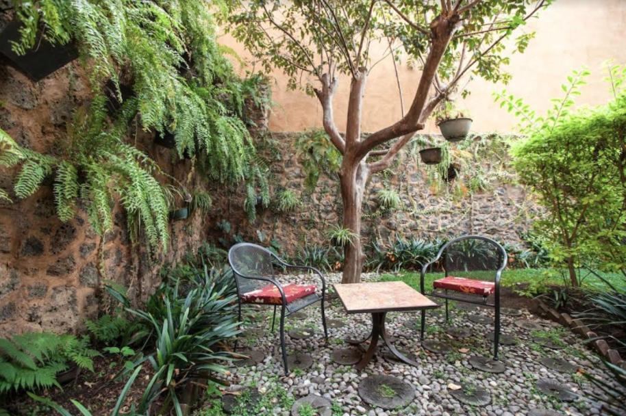 Orchidelirium Casa Hotel & Salud Estetica Hotel 4*