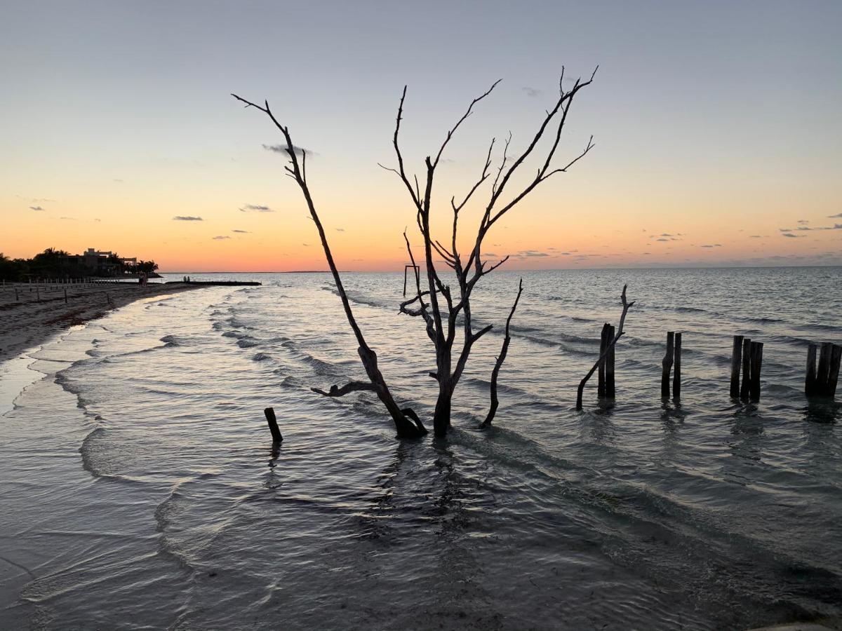 Laisla * Isla Holbox