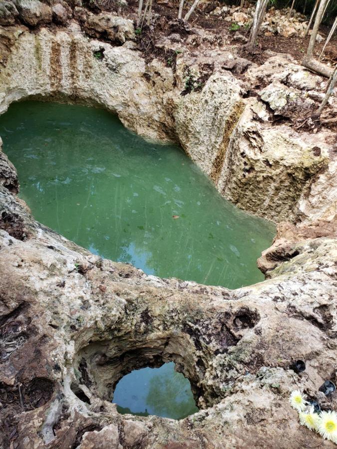 Campsite Aldea Maya-ha Con Cenotes 3*
